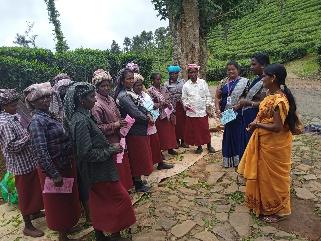 WhatsApp Image 2025-11-07 at 6.46.49 AM